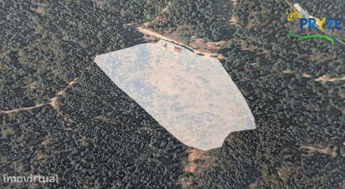 Quinta com 2 hectares de área total-sinónimo de privacidade e sossego - Grande imagem: 4/37