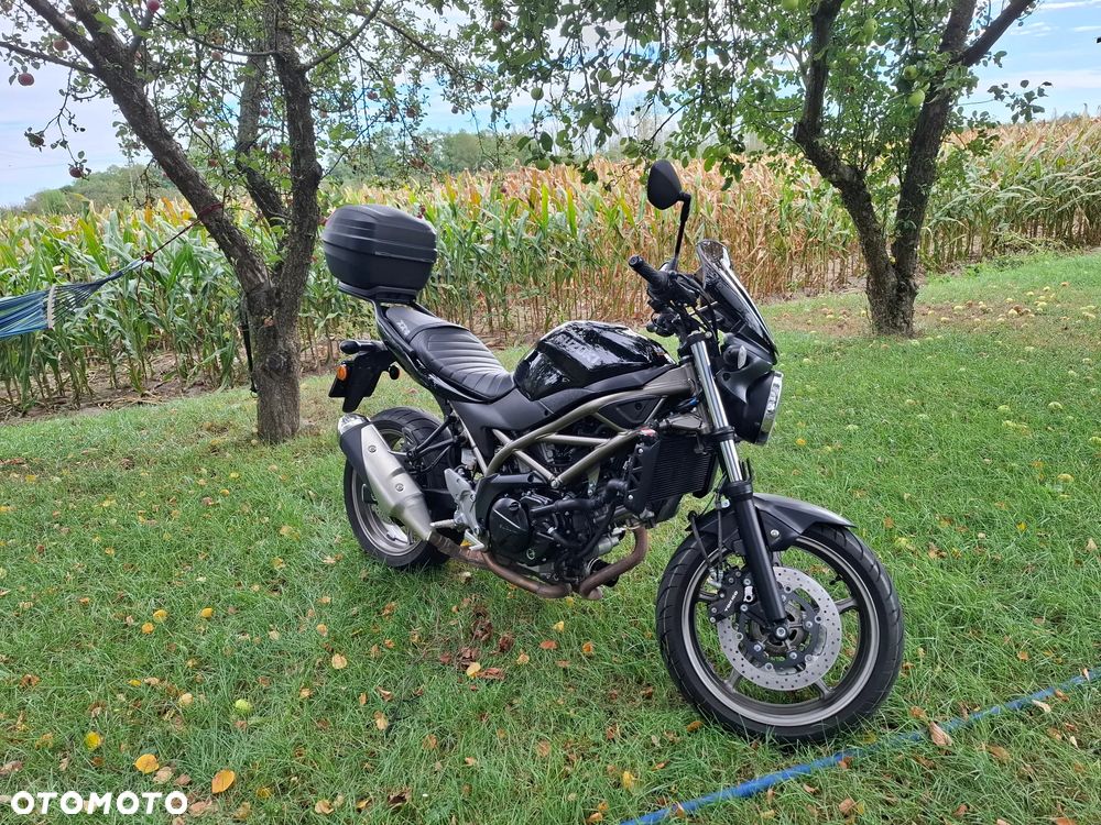 Suzuki SV