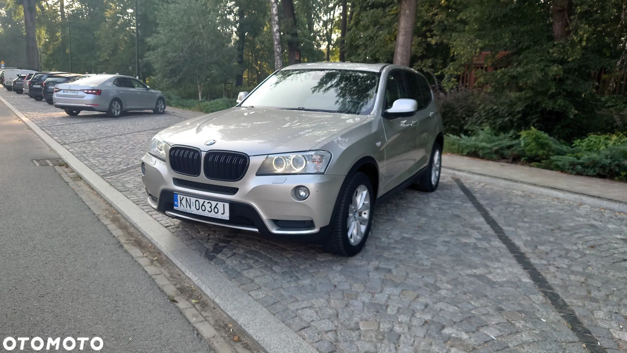 BMW X3 xDrive30d - 1