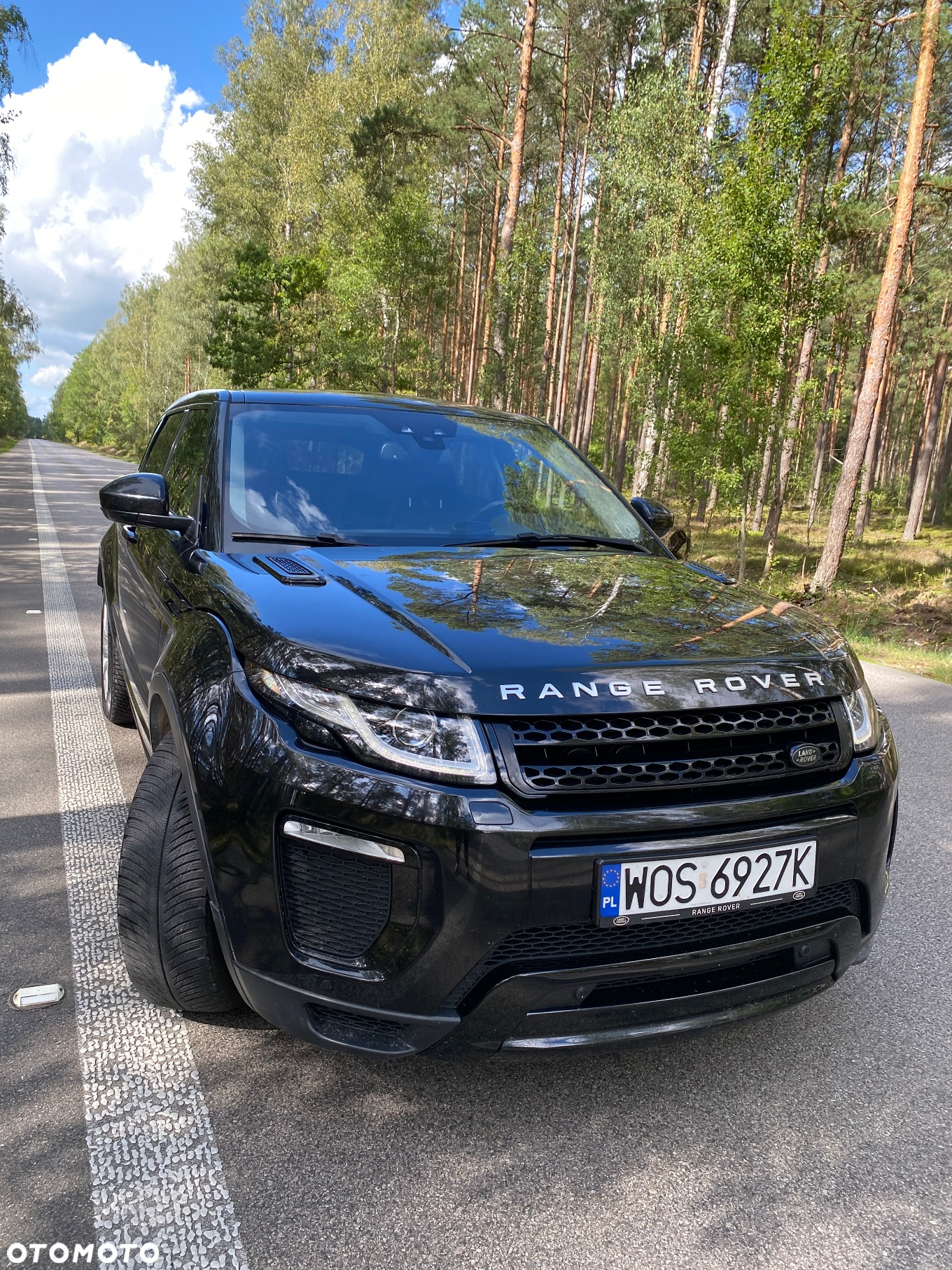 Land Rover Range Rover Evoque 2.0TD4 SE Dynamic Special Edition - 11