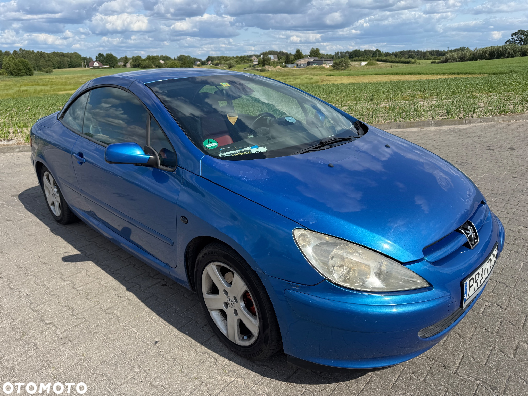 Peugeot 307 CC 2.0 - 15