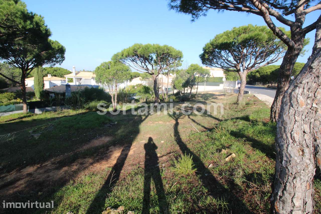 Terreno Para Construção  Venda em Almancil,Loulé - Grande imagem: 3/4