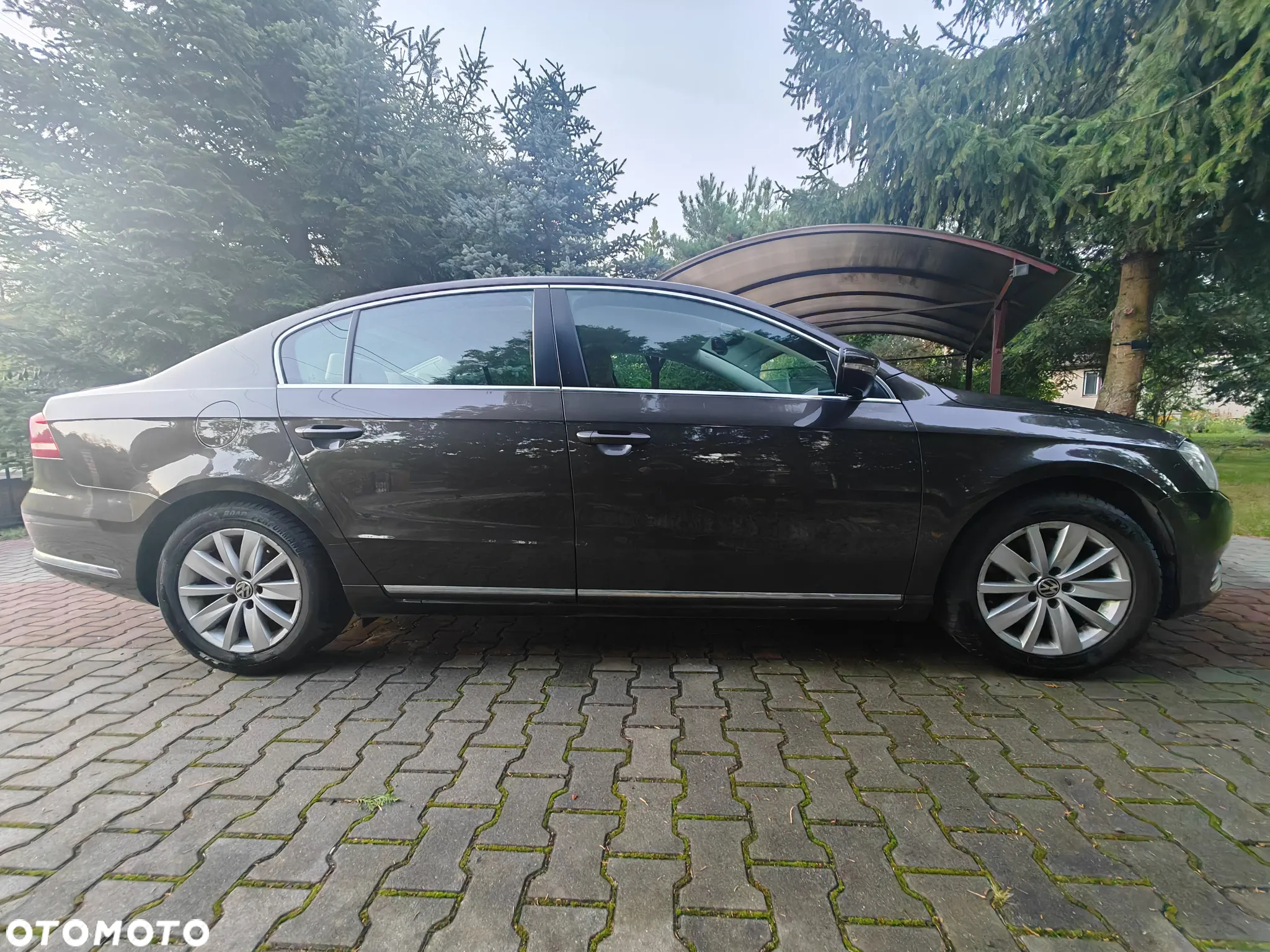 Volkswagen Passat - 8