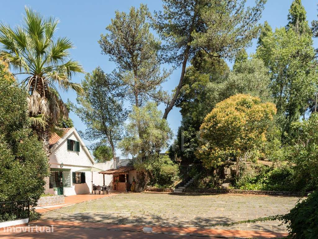 Quinta com terreno, em Sintra - Grande imagem: 3/42