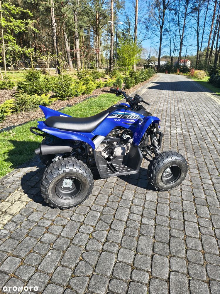 Yamaha YFM - 3