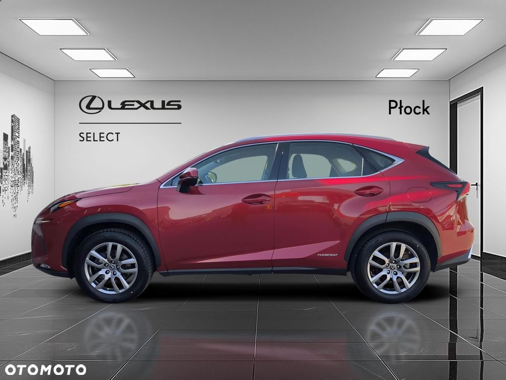 Lexus NX 300h Business Edition AWD - 2