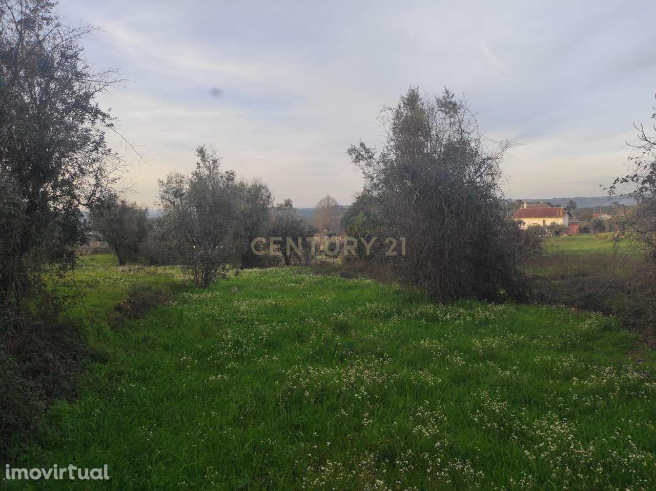 Terreno à venda em Silgueiros, Viseu - Grande imagem: 2/7