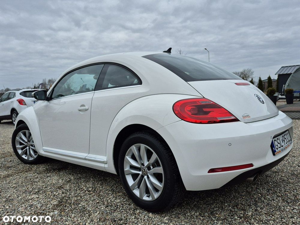 Volkswagen Beetle - 25