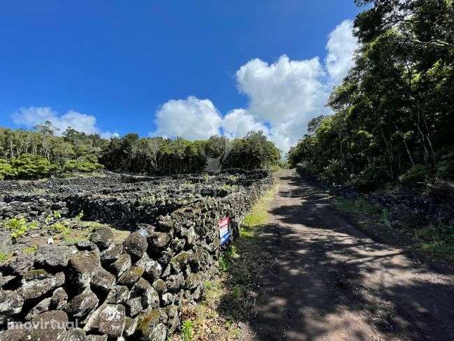 Terreno à venda em Candelária, Madalena do Pico - Grande imagem: 3/3