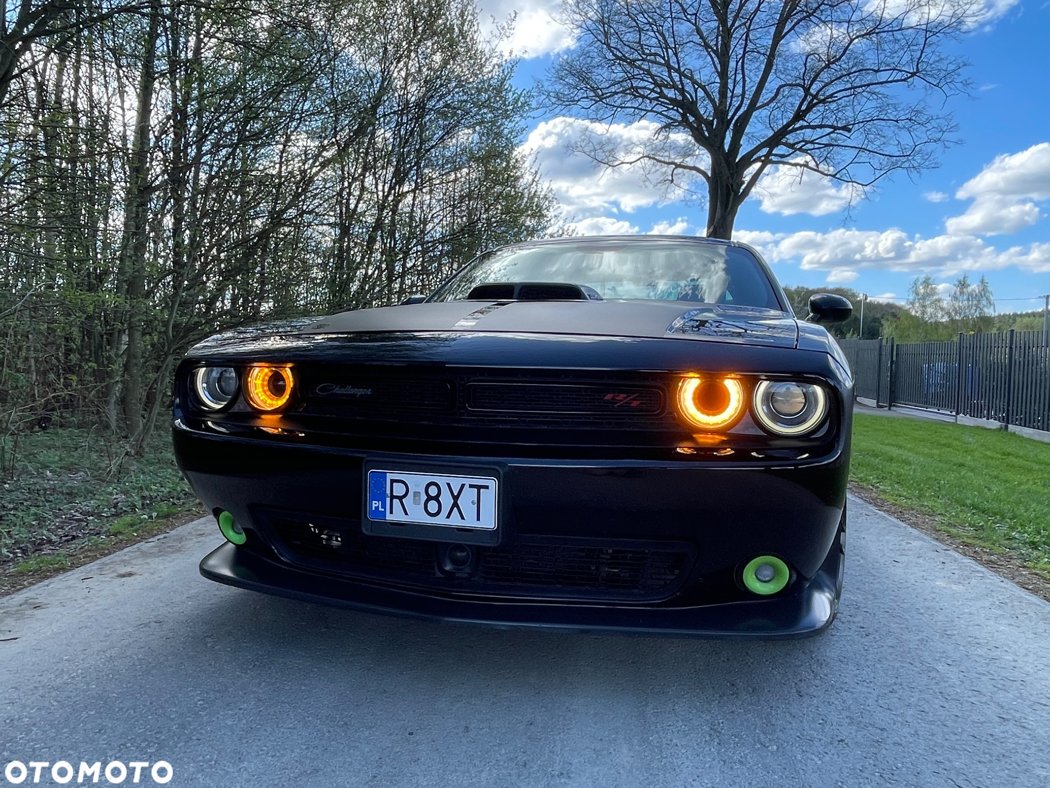 Dodge Challenger Automatik 392 Hemi Scat Pack Shaker - 16