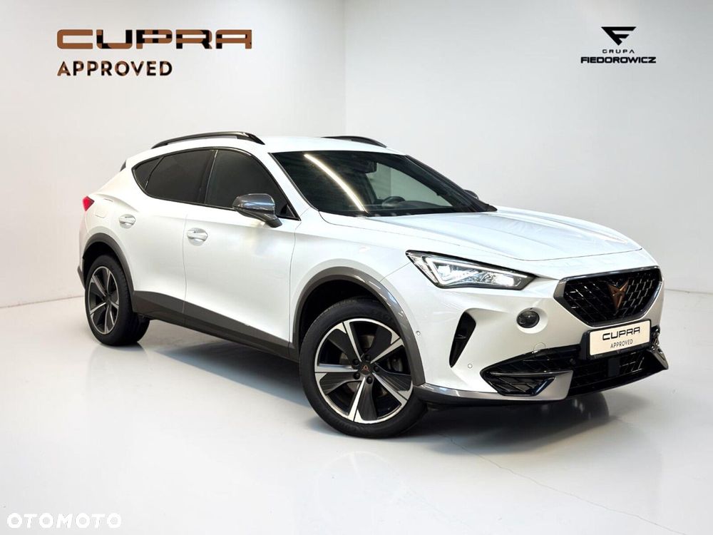 Cupra Formentor 2.0 TSI 4Drive DSG - 14