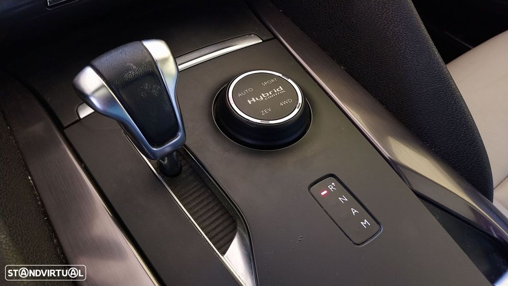 Citroën DS5 2.0 HDi Hybrid4 Sport Chic CMP6 - 13