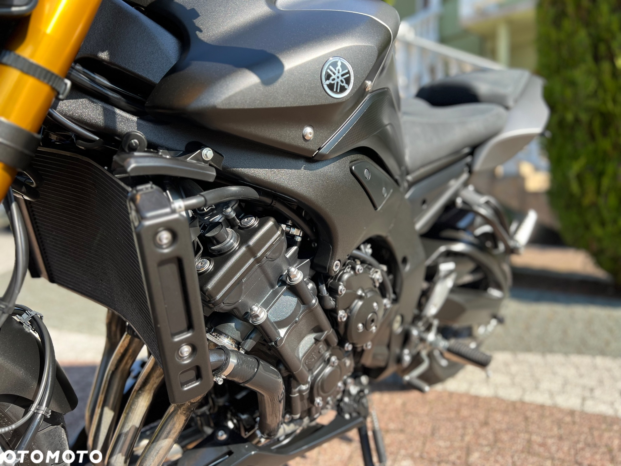 Yamaha FZ8 - 31