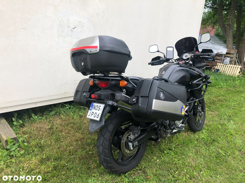 Suzuki DL - 3