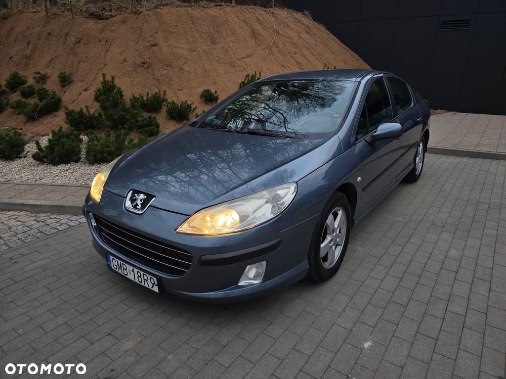 Peugeot 407 - 5
