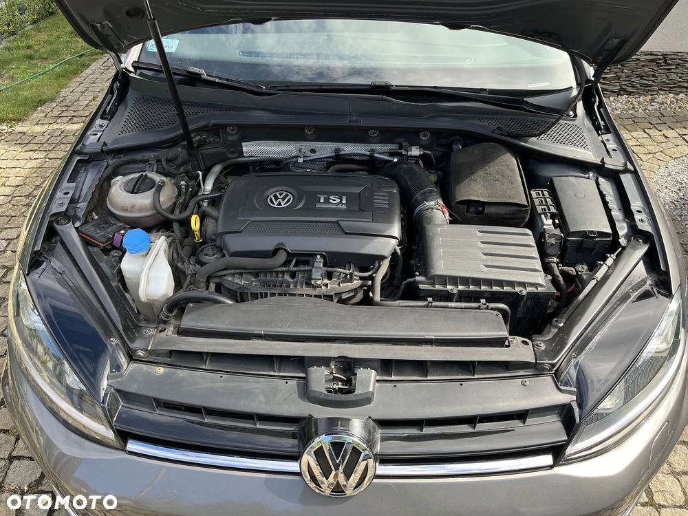Volkswagen Golf - 16