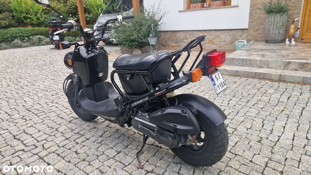 Honda Zoomer - 4