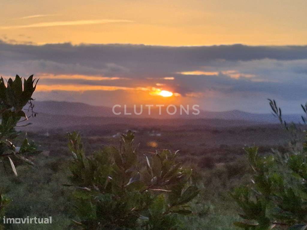 Terreno, 5.4 hectares, PIP aprovado, com possibilidade construção d... - Grande imagem: 3/17