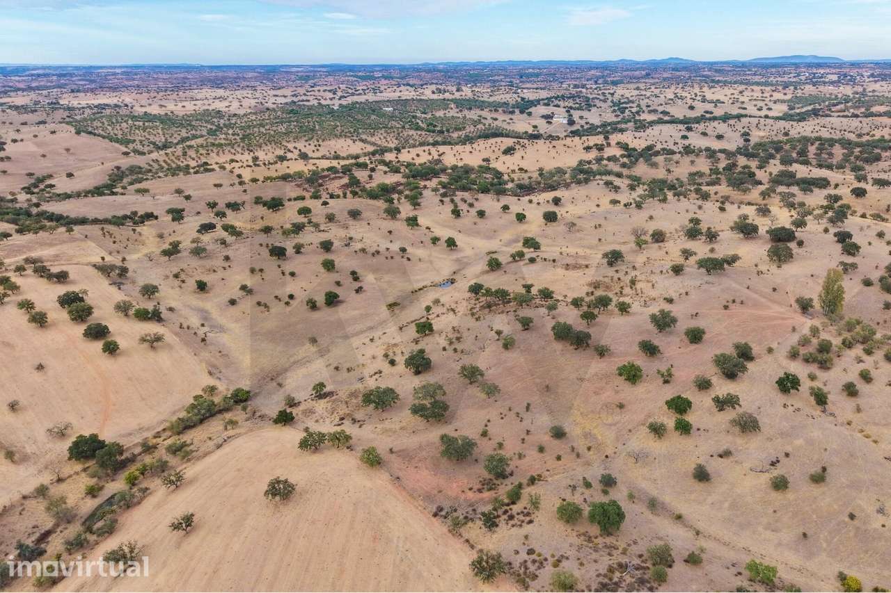 TERRENO RÚSTICO EM SERPA  COM 7,6250 HA COM BARRAGEM - Grande imagem: 4/14