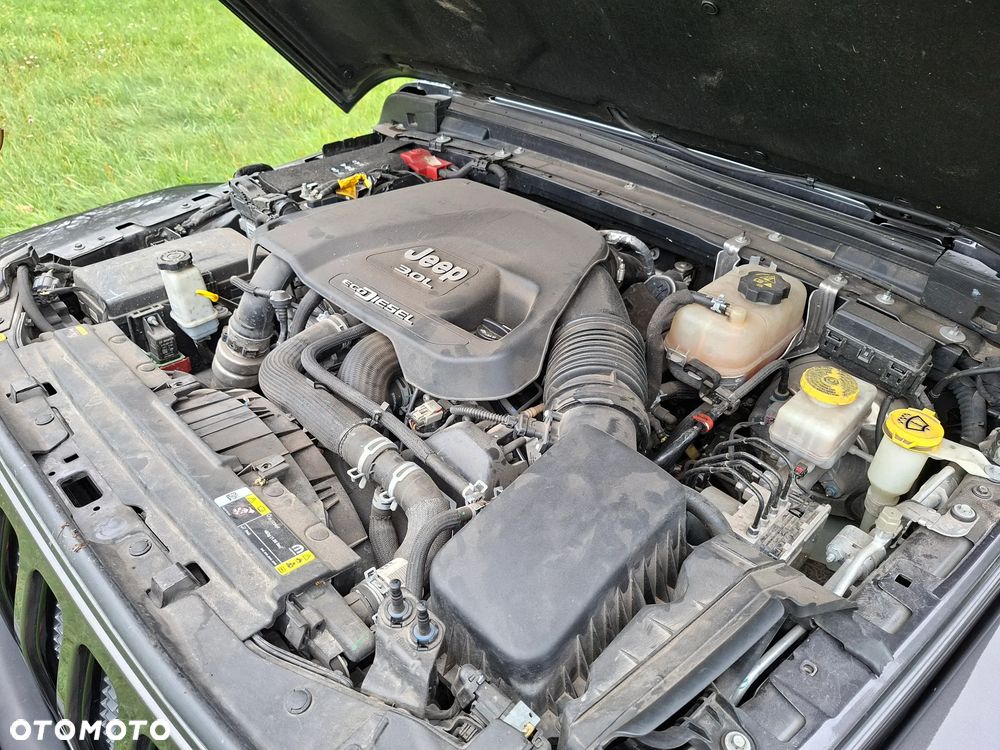 Jeep Wrangler - 25