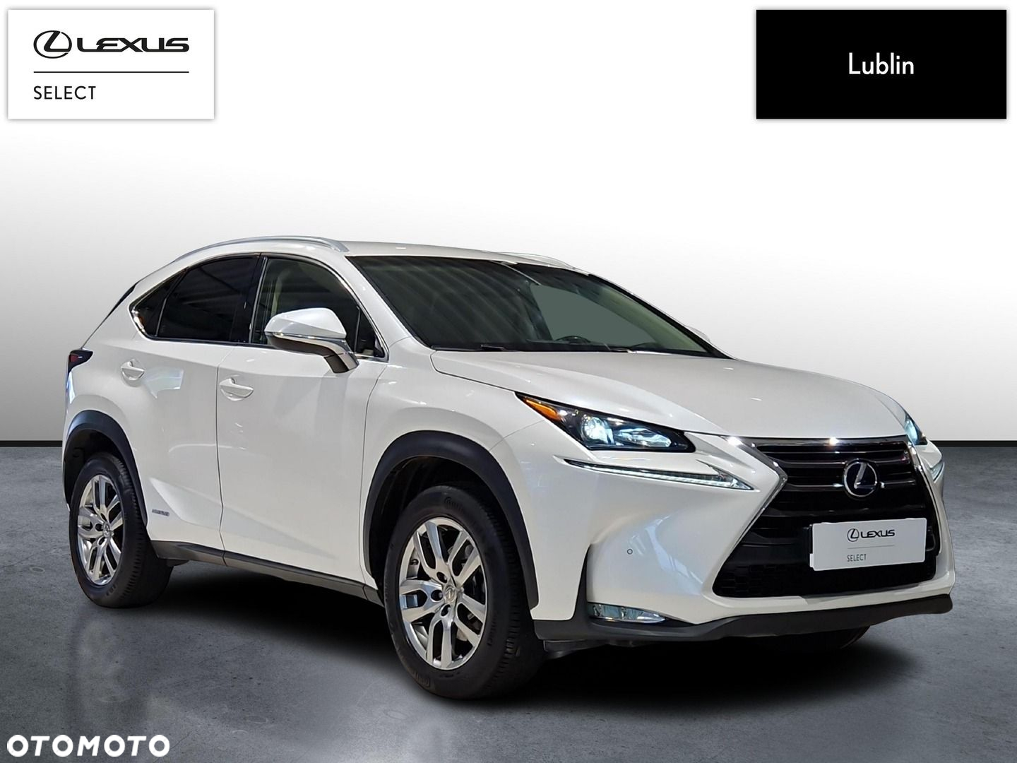 Lexus NX 300h Comfort AWD - 7