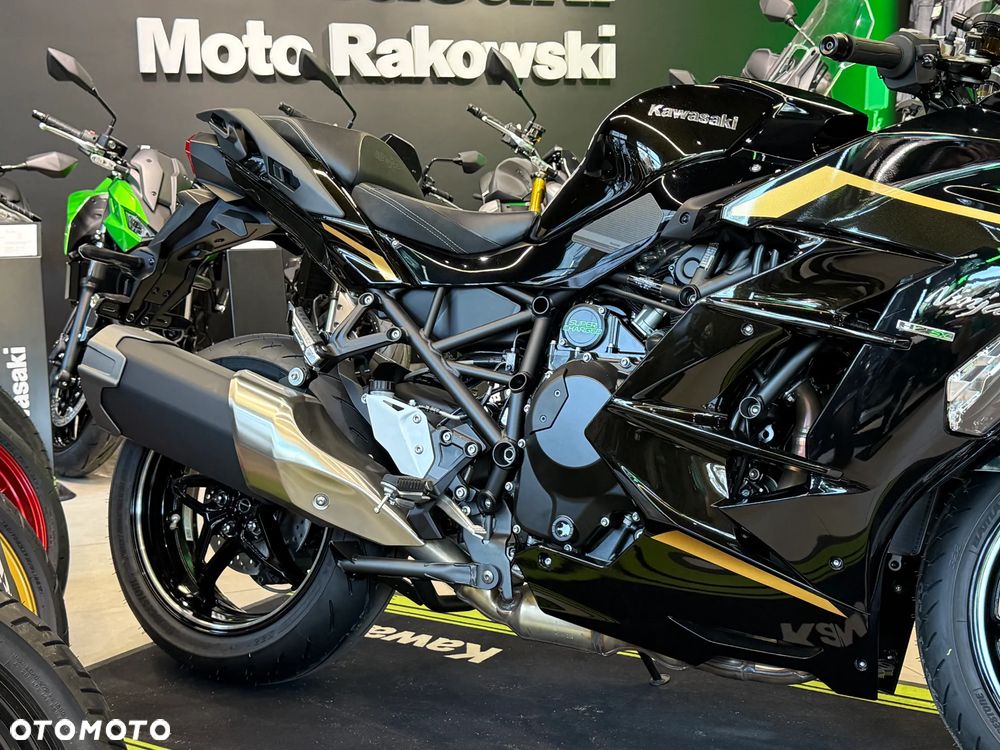 Kawasaki Ninja H2 SX - 8
