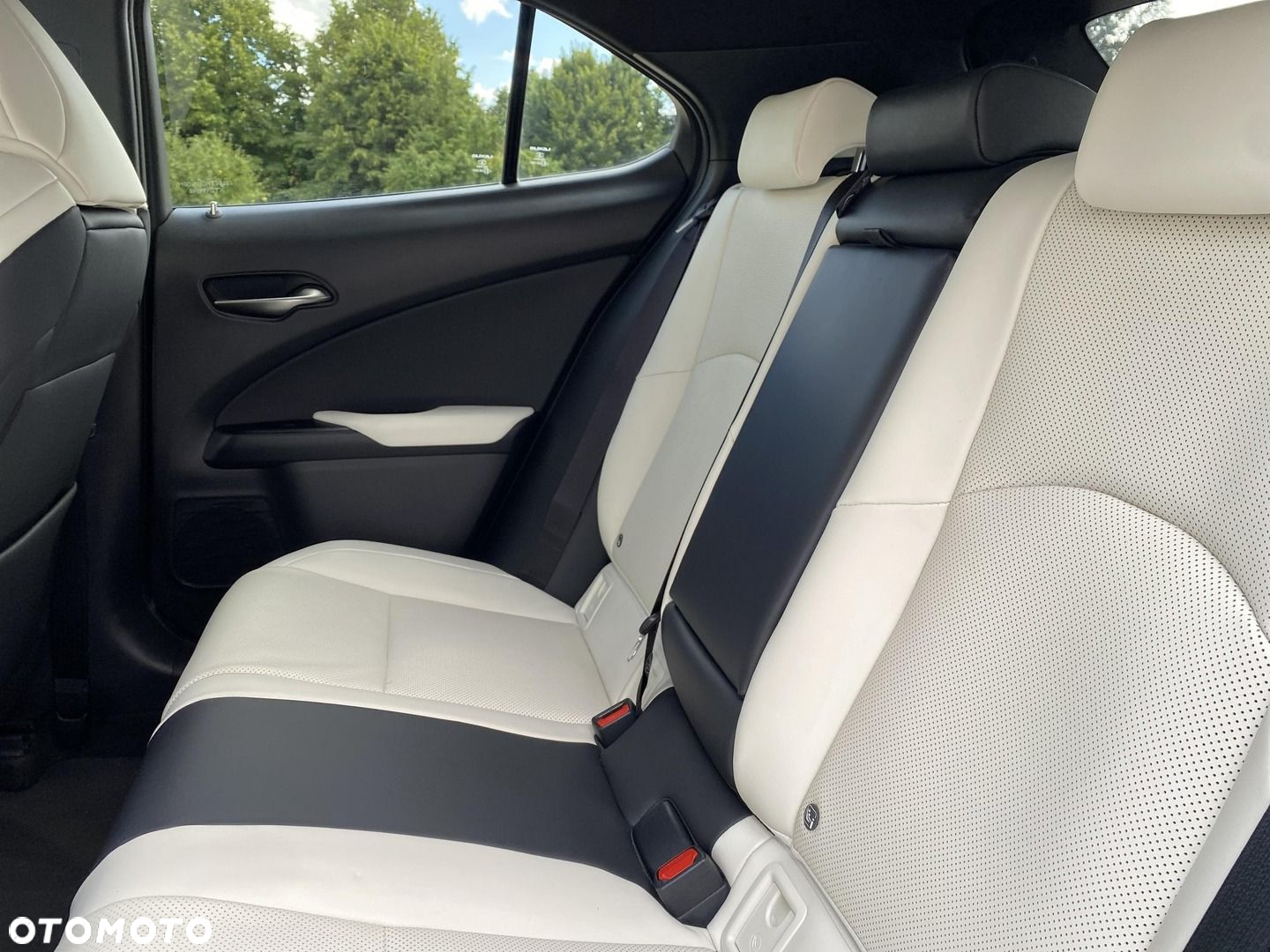 Lexus UX 300h F Sport - 14