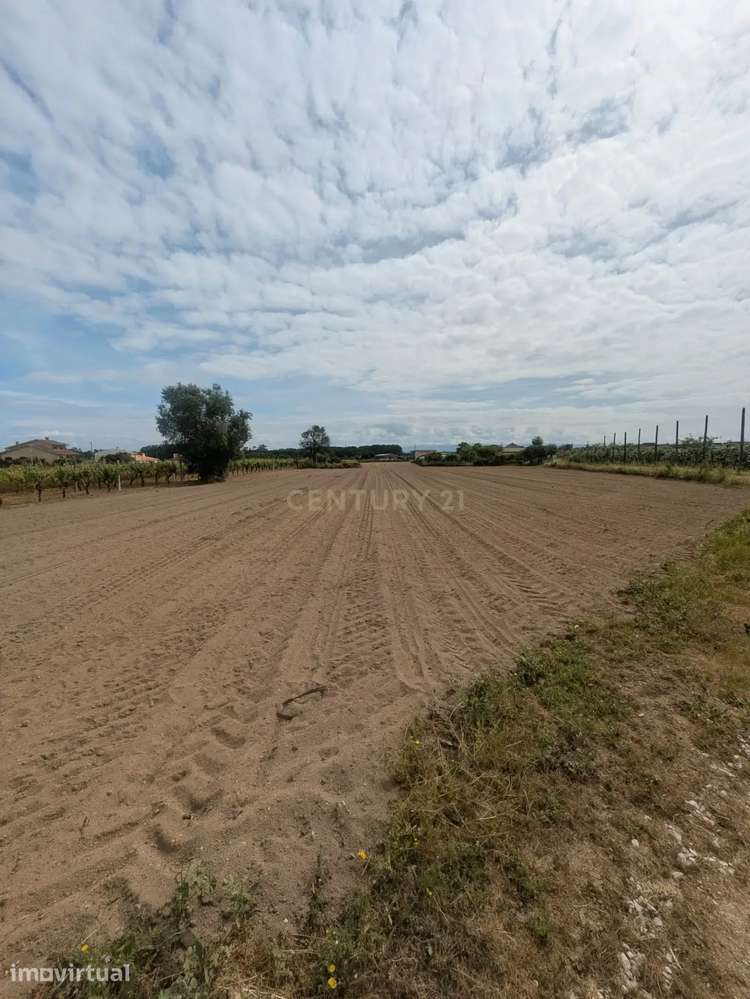 Excelente oportunidade de investimento! TERRENO URBANIZÁVEL - Grande imagem: 5/11