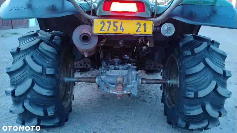 Kawasaki Brute Force - 13