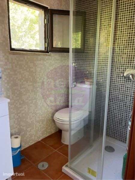 Terreno com vinha e pequeno imovel - Grande imagem: 4/12