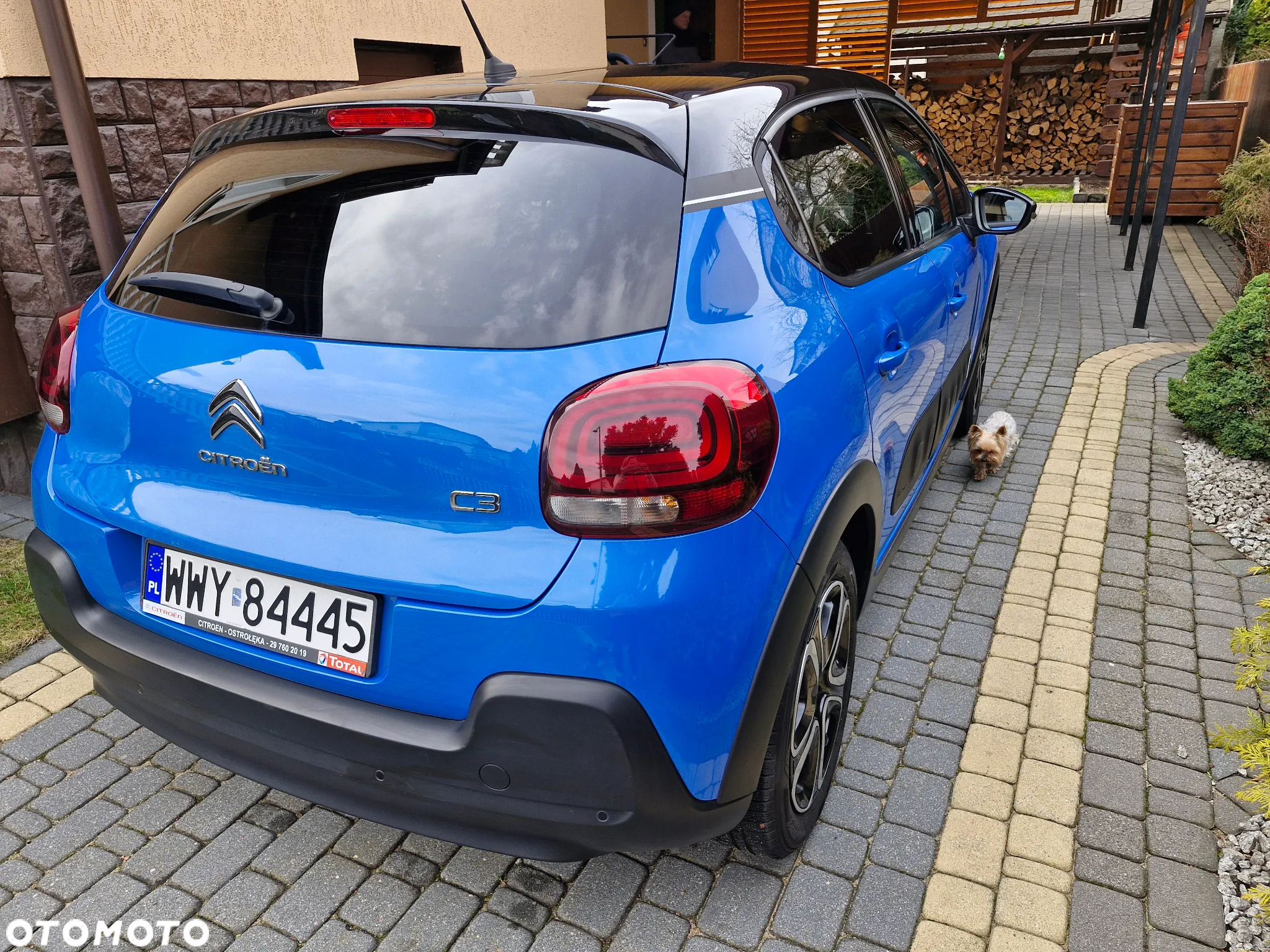 Citroën C3 1.2 PureTech Shine - 5