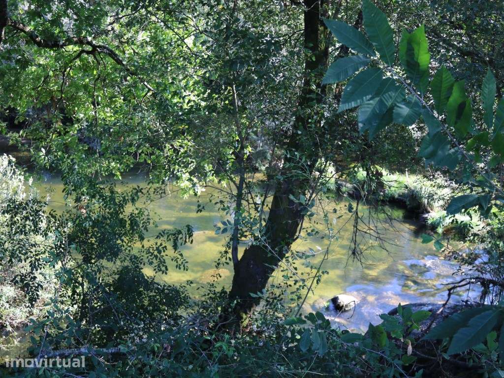 Terreno agrícola em Refóios, Ponte de Lima - Grande imagem: 5/9