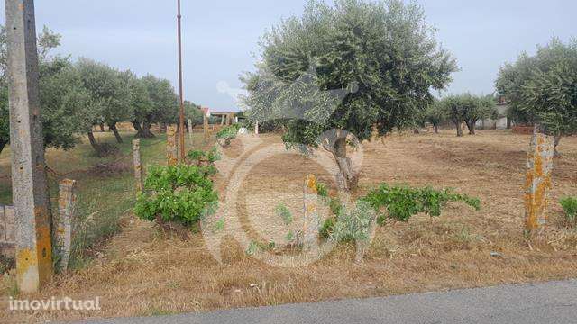 Predio em Propriedade S.Pedro do Corval - Grande imagem: 5/9