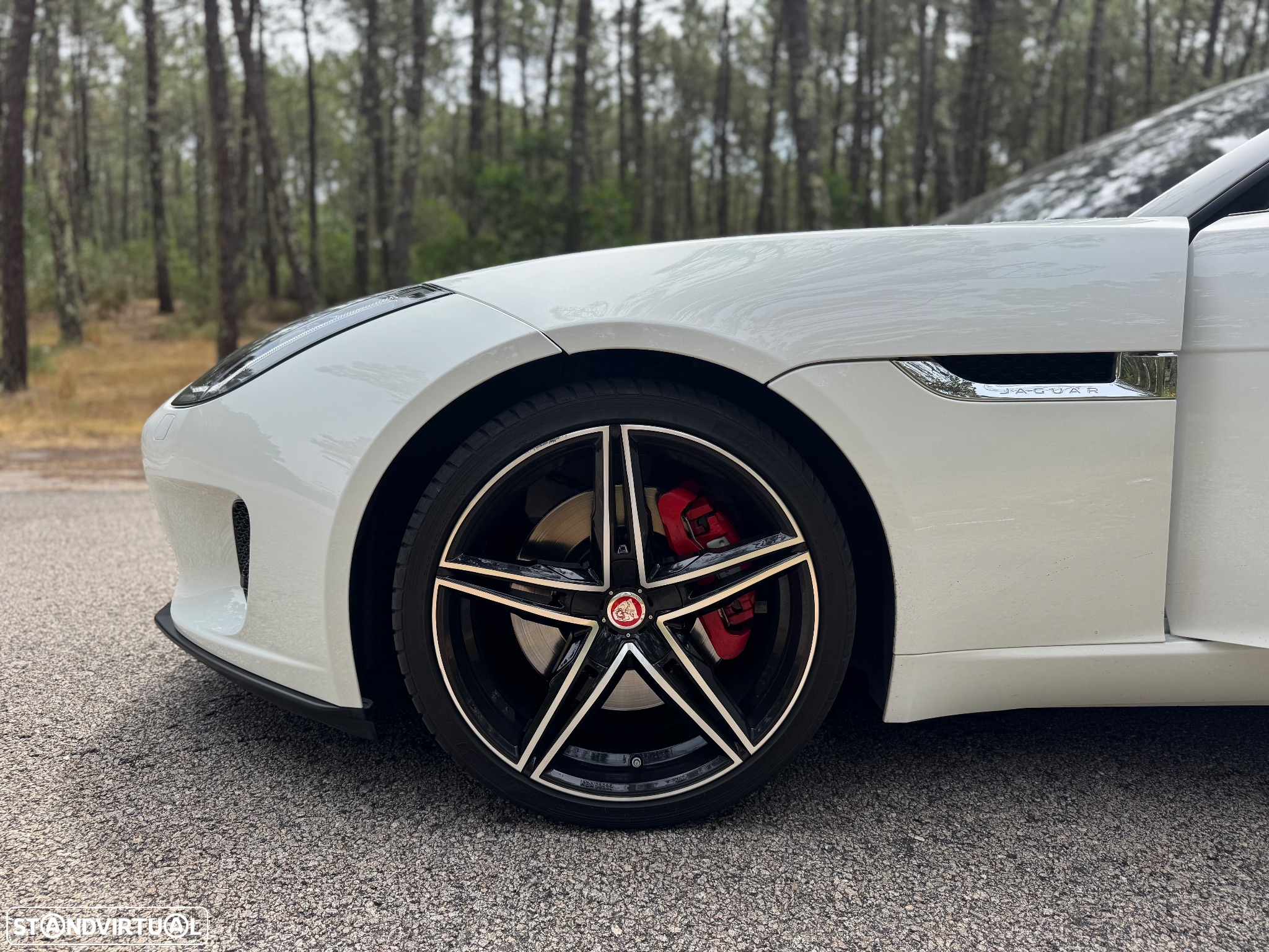 Jaguar F-Type Cabriolet P300 Aut. First Edition - 21