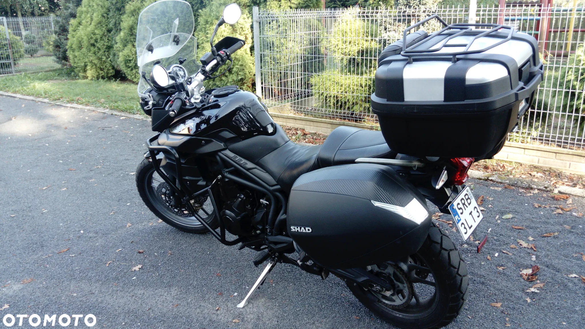Triumph Tiger - 2