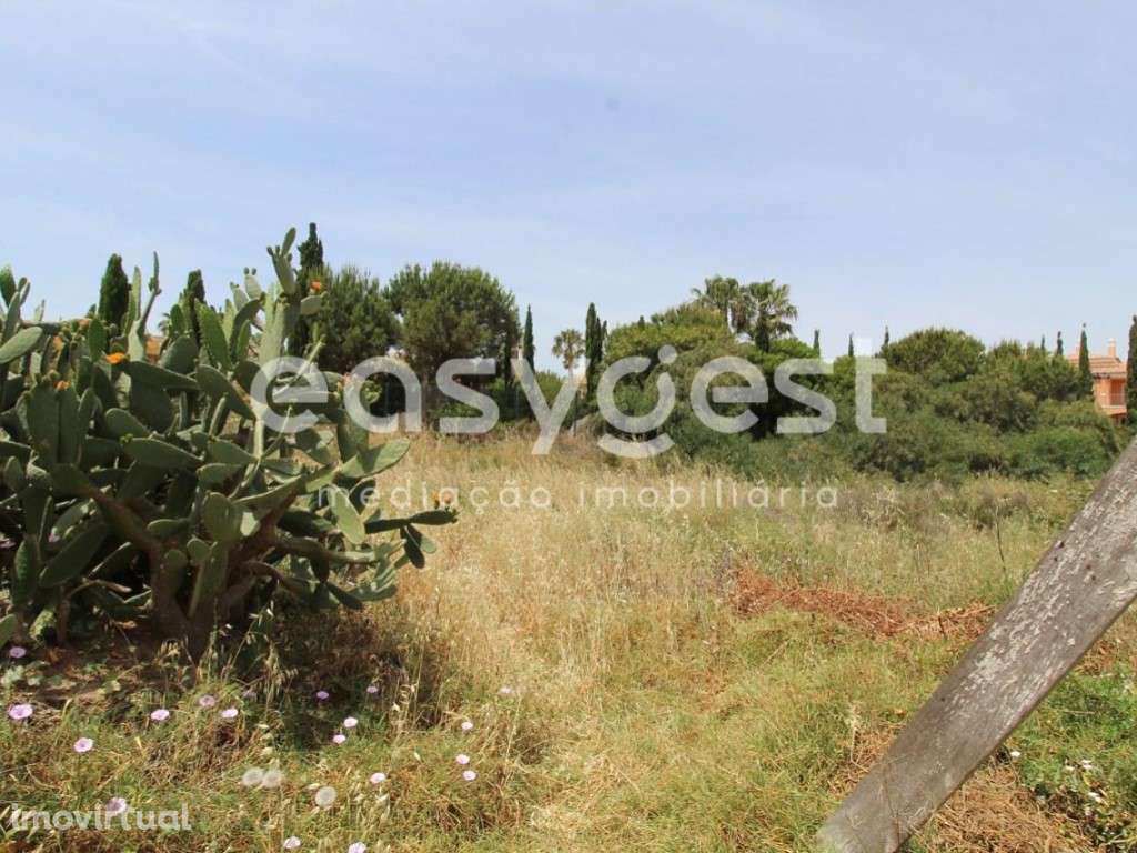 Lote de Terreno com 498 m2 para construção de moradia T3 com piscina - Grande imagem: 3/18