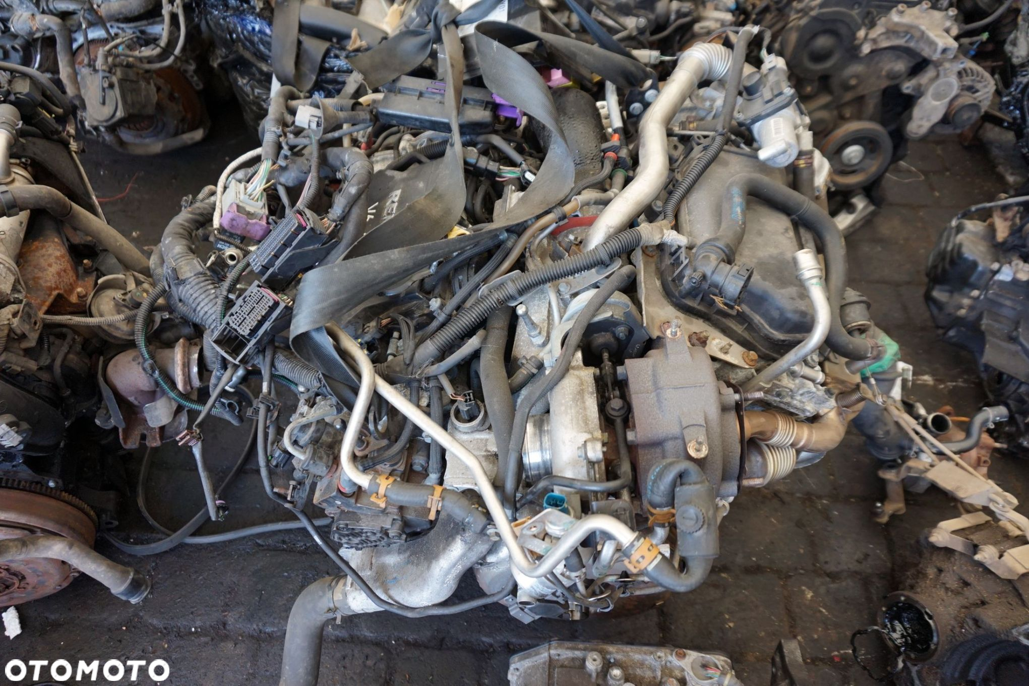 SILNIK LAGUNA III PH1 3.0 DCI V6 235KM V9X891 FILM 217TKM NISSAN INFINITI RENAULT 2007-2012 - 5