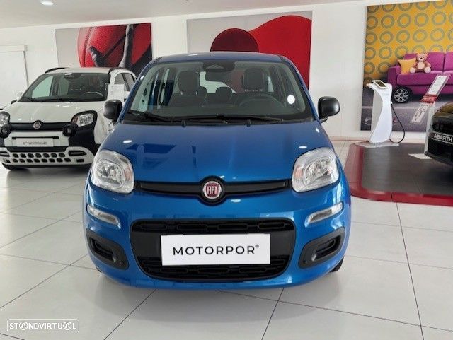 Fiat Panda - 2