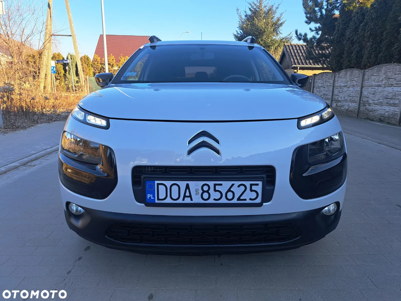 Citroën C4 Cactus 1.6 BlueHDi Feel - 14