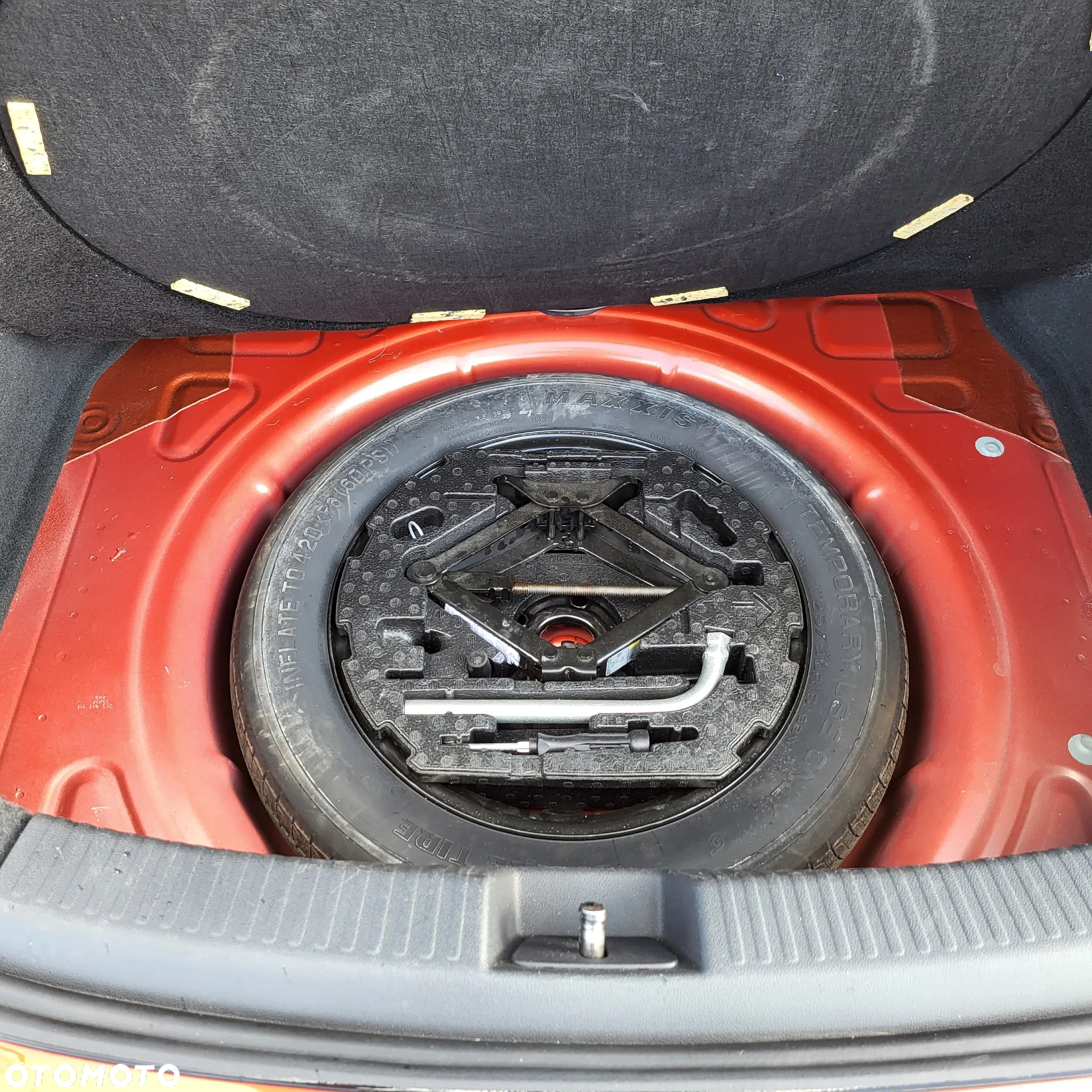 Volkswagen Beetle - 10