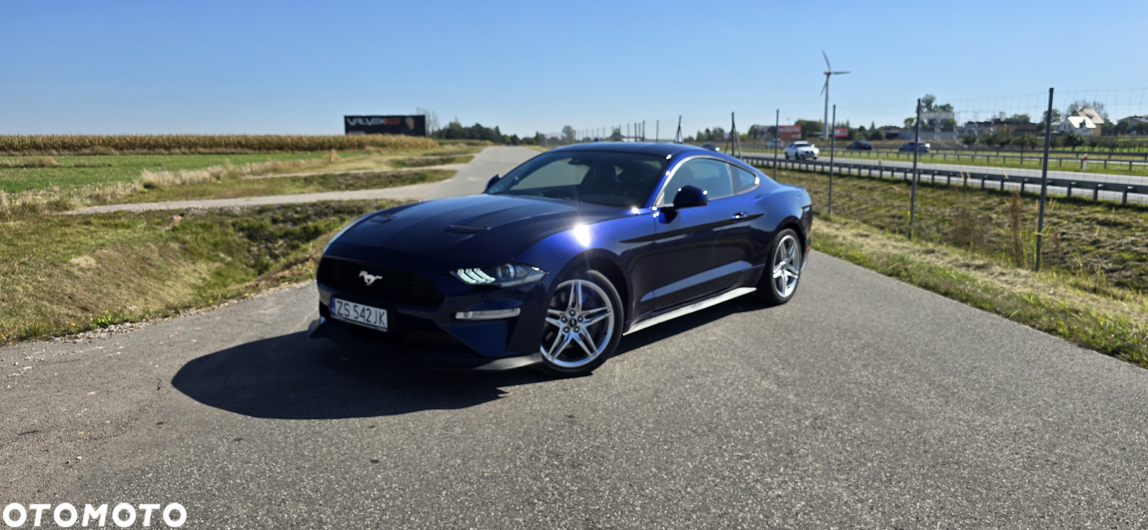 Ford Mustang 2.3 EcoBoost - 2