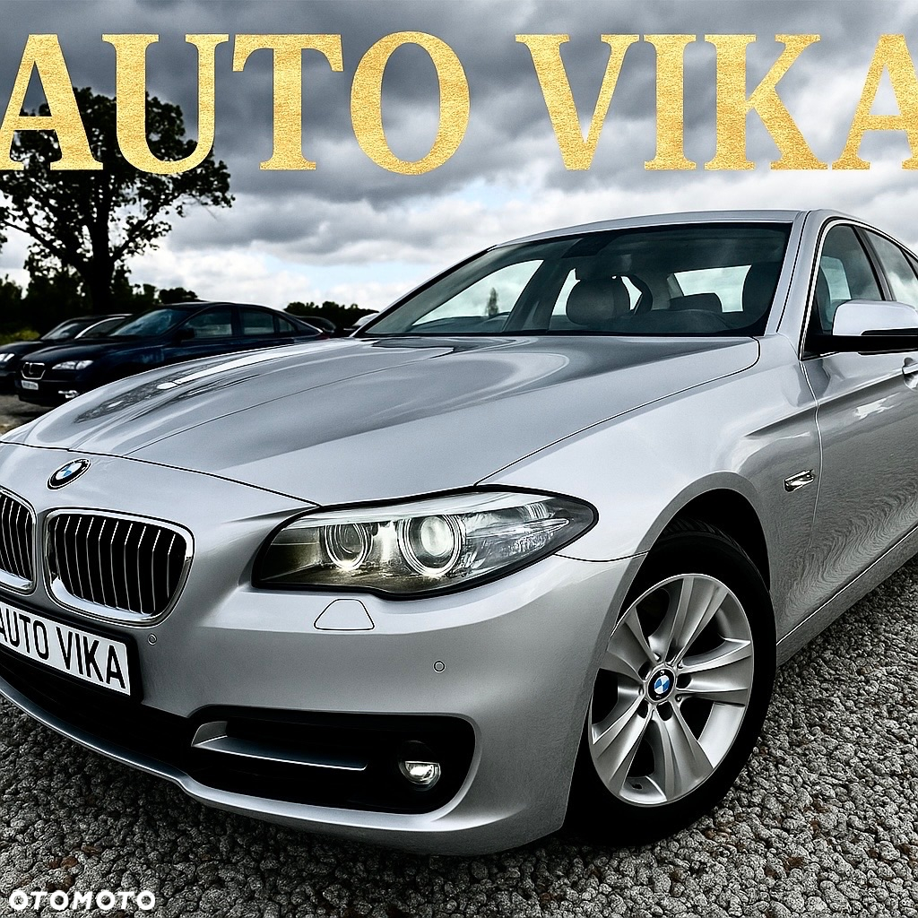 BMW Seria 5 520d - 38