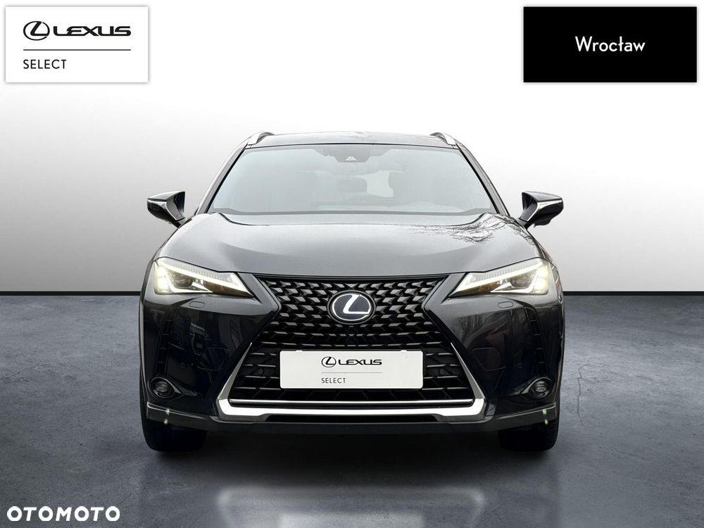 Lexus UX 250h GPF Business Edition 2WD - 8