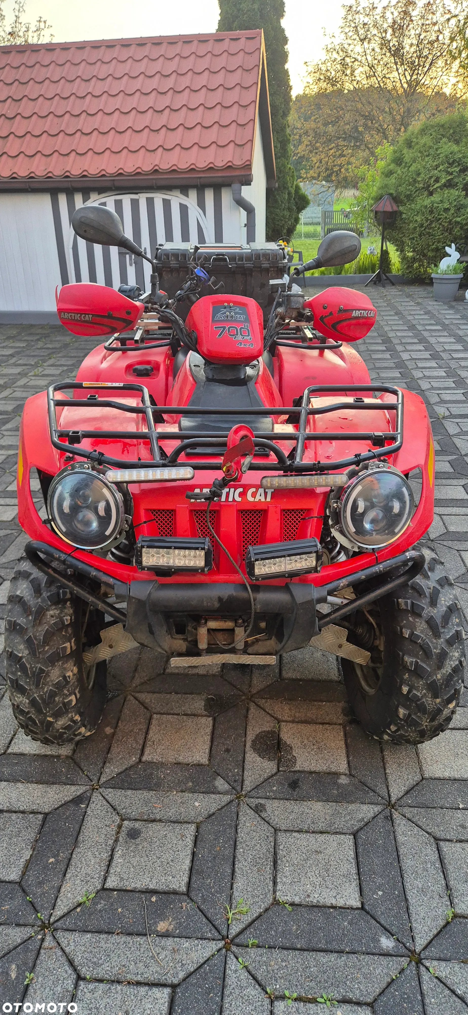 Arctic Cat Inny