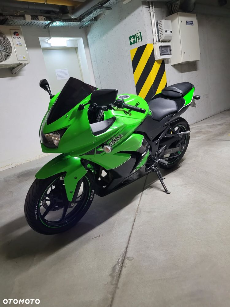 Kawasaki Ninja 250R - 3