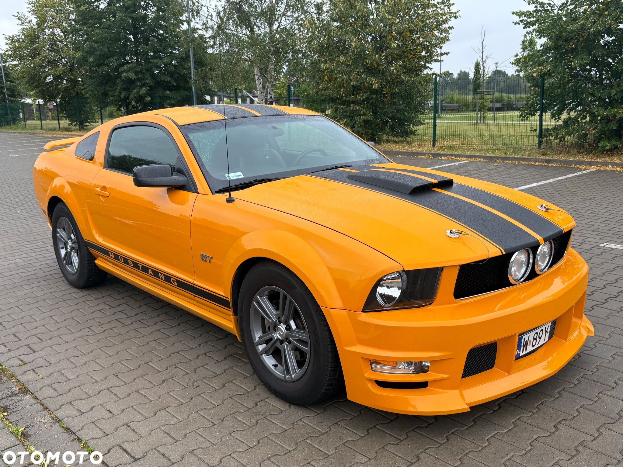 Ford Mustang - 1