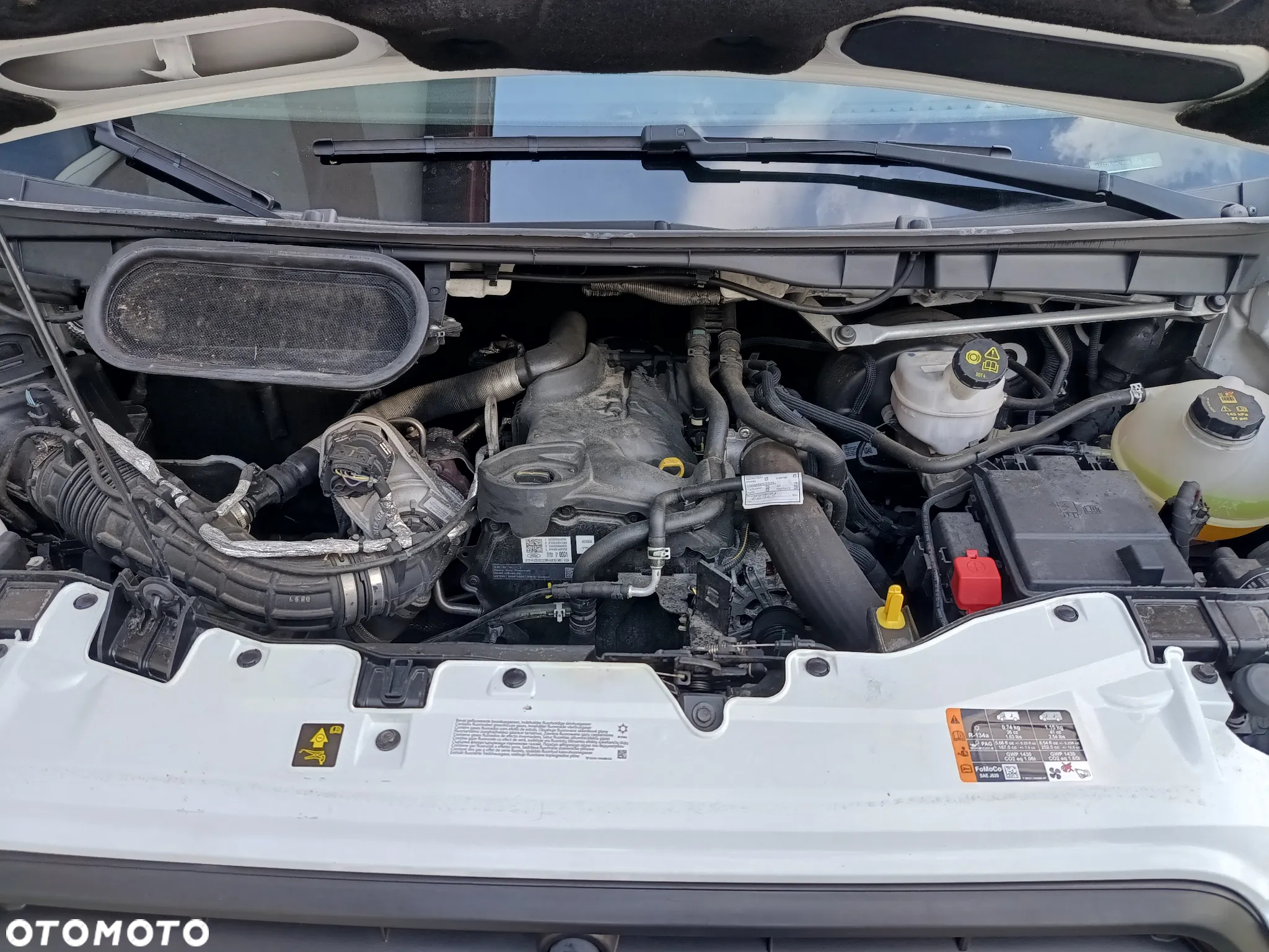 Ford TRANSIT KONTENER WINDA 750KG MAXI - 25