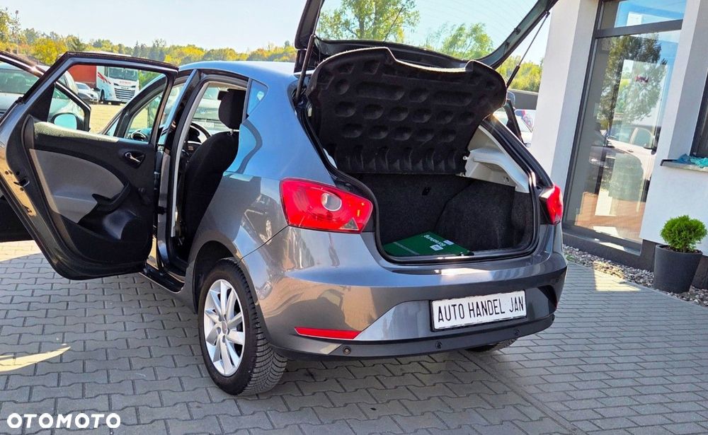 Seat Ibiza - 30