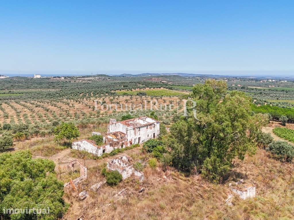 Herdade de 20,6 hectares com vinha e vocação turística - Grande imagem: 4/43