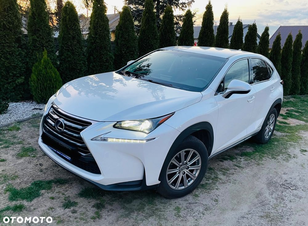 Lexus NX 300h Elegance 2WD - 5